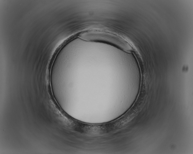 X0000090450791200708031216