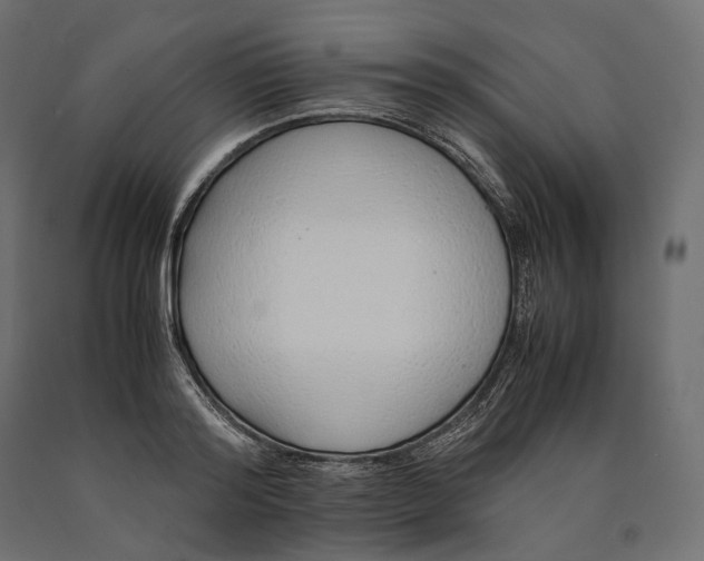 X0000090450796200708031216