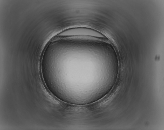 X0000090450797200708031216