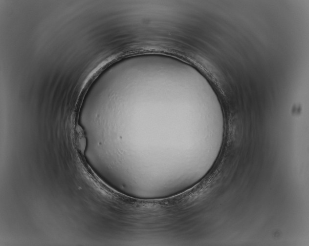 X0000090450798200708031216