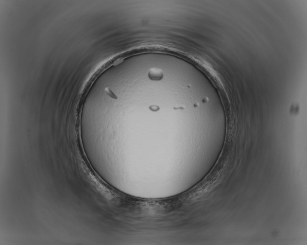 X0000090450799200708031216