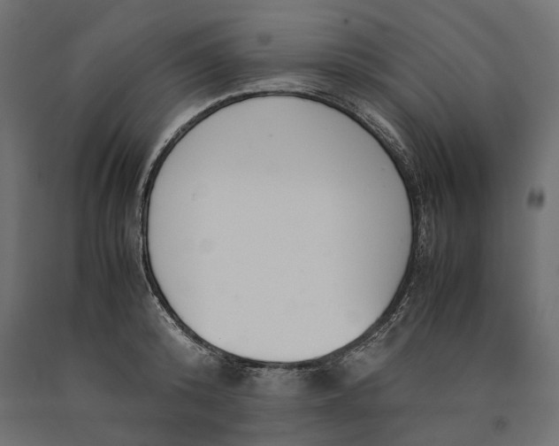 X0000090450800200708031216