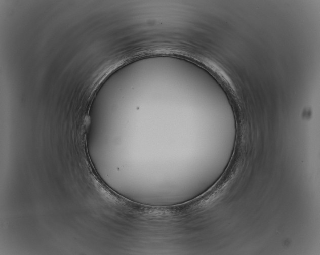 X0000090450801200708031216