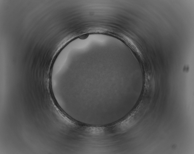 X0000090450802200708031216