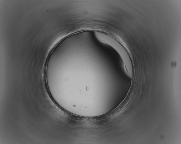 X0000090450803200708031216