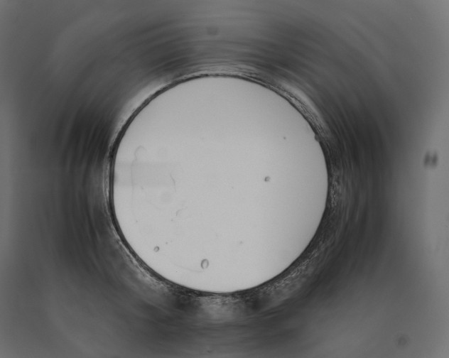 X0000090450804200708031216