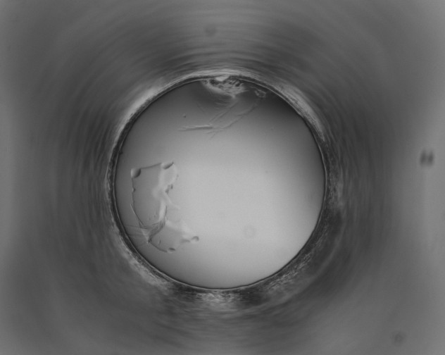 X0000090450805200708031216