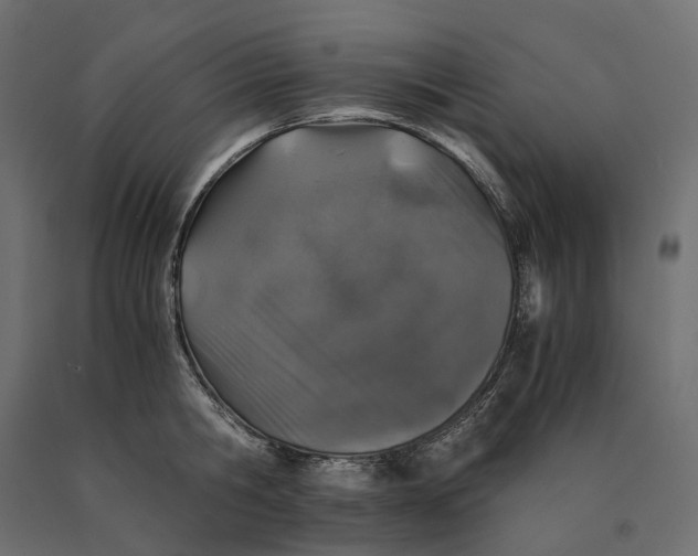 X0000090450806200708031216