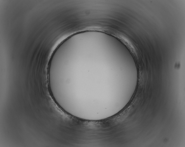 X0000090450808200708031216