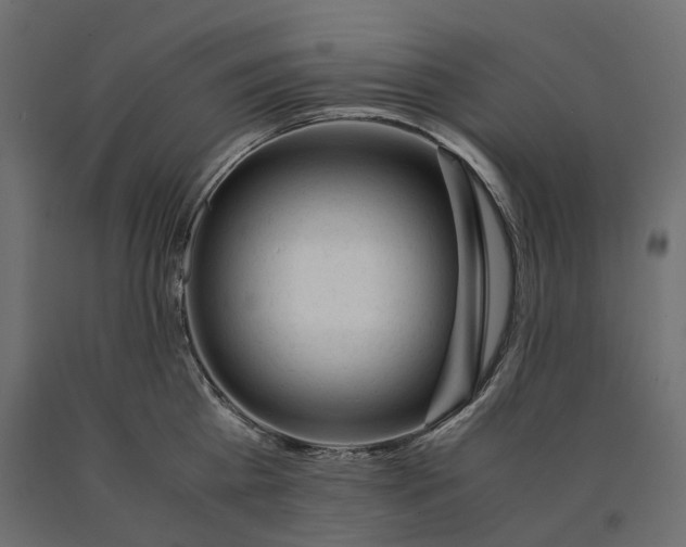 X0000090450809200708031216