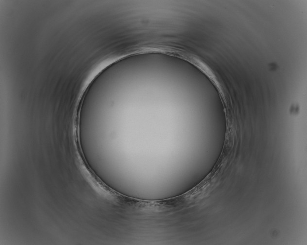 X0000090450811200708031216