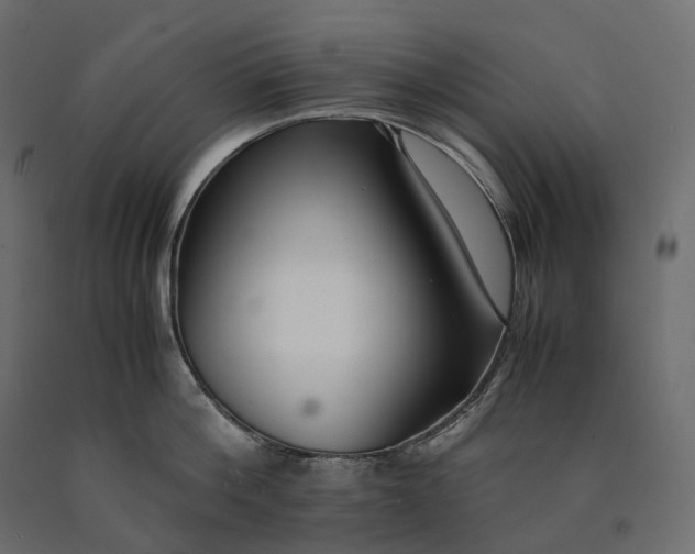 X0000090450812200708031216