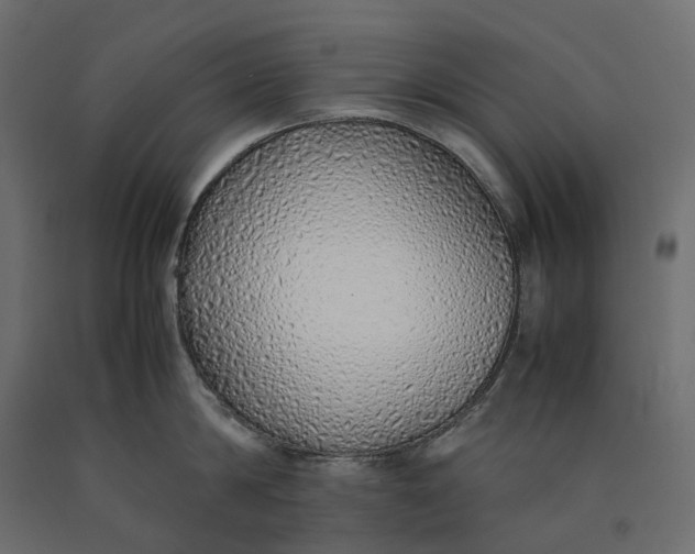 X0000090450814200708031216