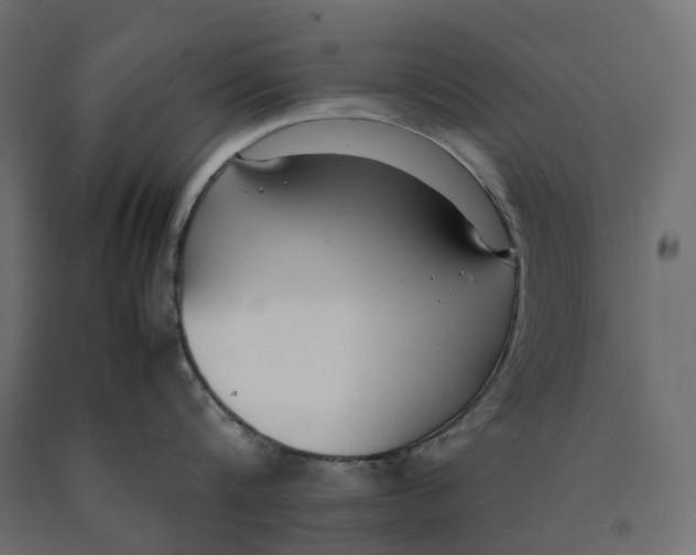 X0000090450816200708031216