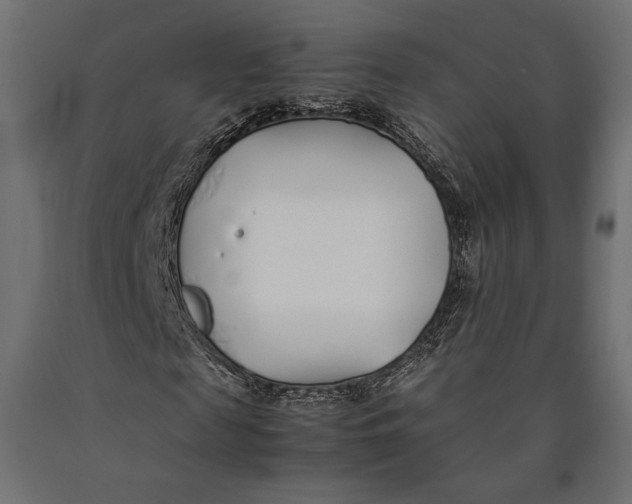 X0000090450817200708031215