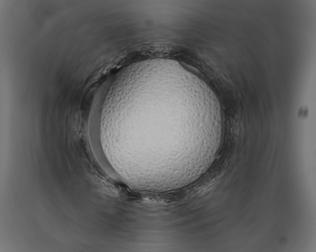 X0000090450818200708031215