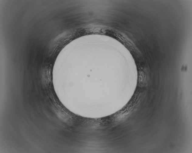 X0000090450820200708031215