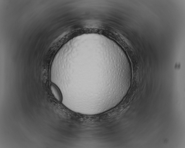 X0000090450821200708031215