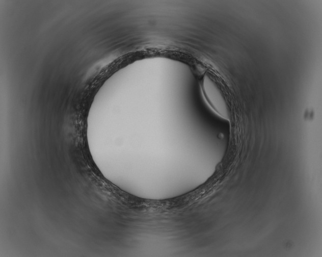 X0000090450822200708031215