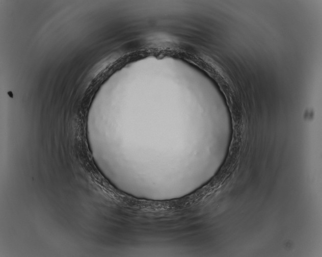 X0000090450823200708031215