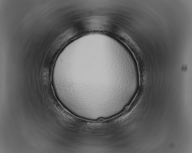 X0000090450825200708031215