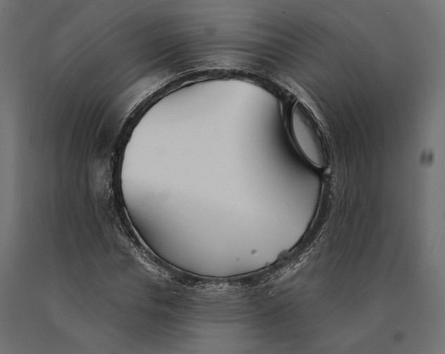 X0000090450826200708031215