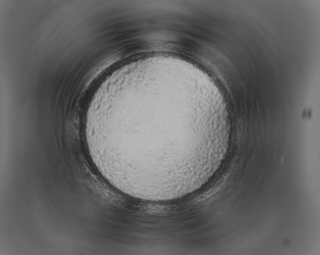 X0000090450827200708031215