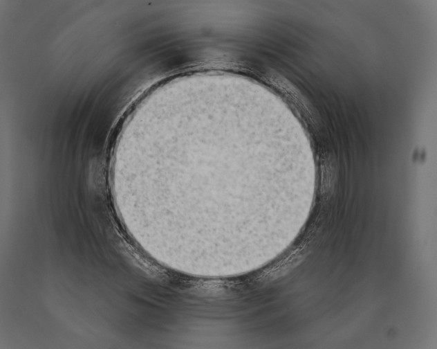 X0000090450828200708031215