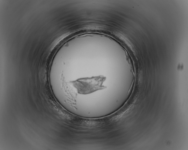 X0000090450829200708031215