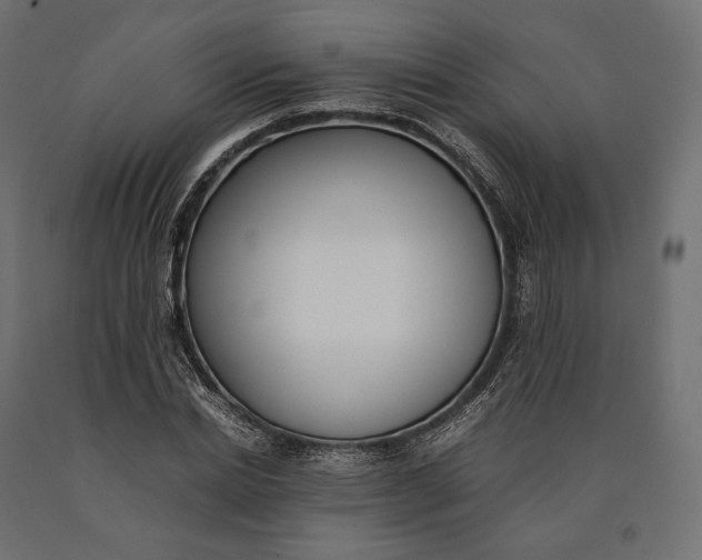 X0000090450830200708031215