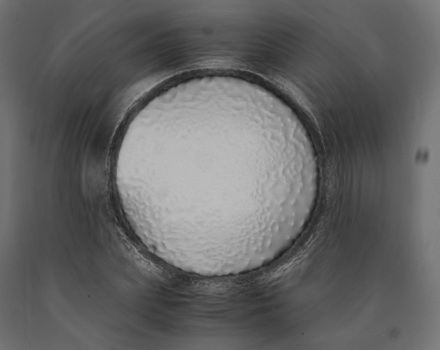 X0000090450831200708031215