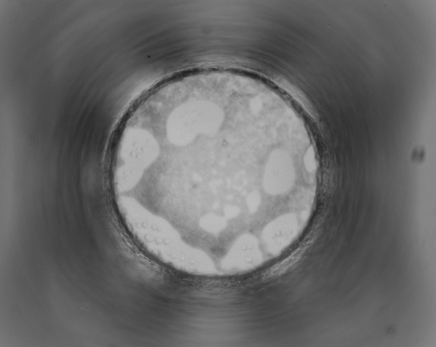 X0000090450832200708031215