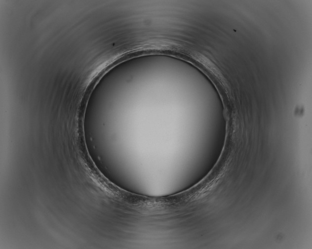 X0000090450834200708031215