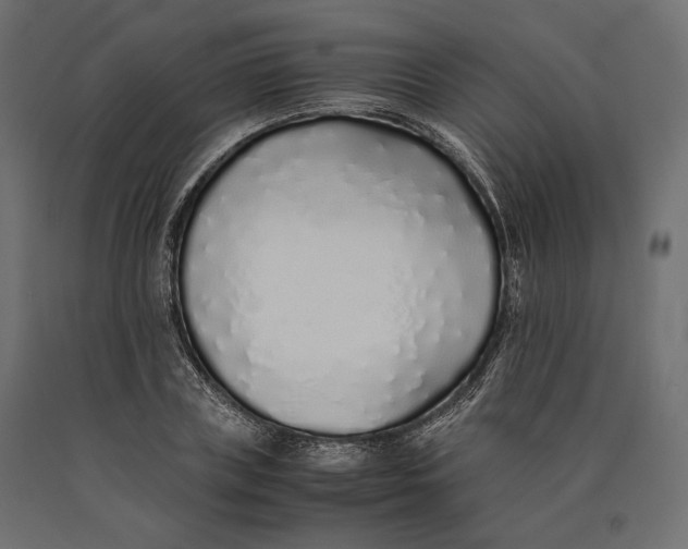 X0000090450835200708031216