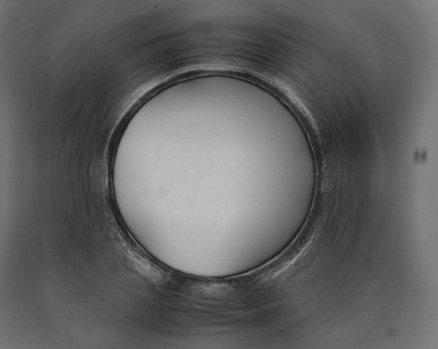 X0000090450837200708031216