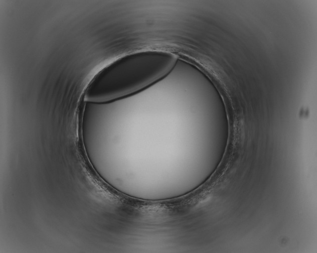 X0000090450838200708031216