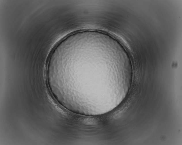 X0000090450839200708031216