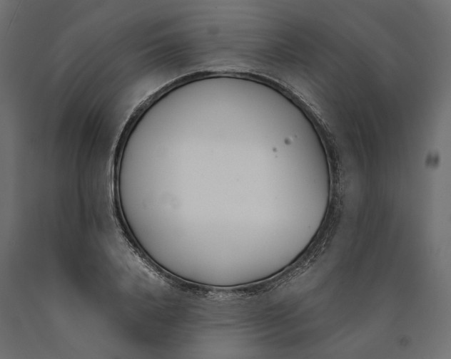 X0000090450840200708031216