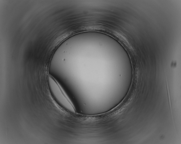 X0000090450841200708031216