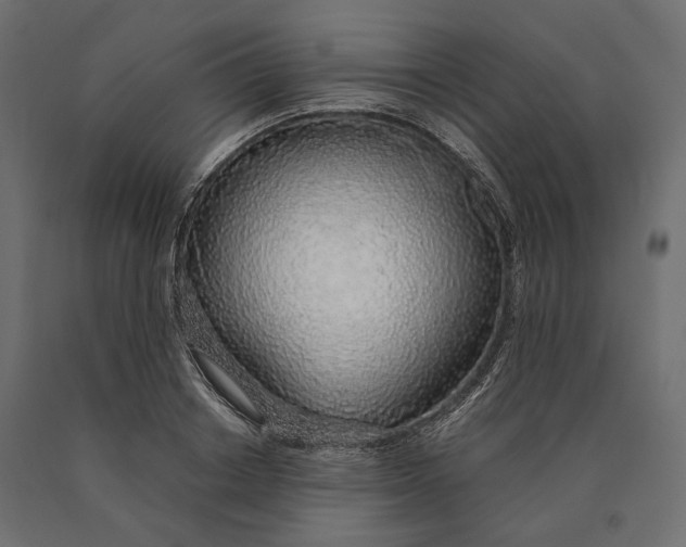 X0000090450842200708031216