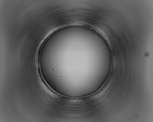 X0000090450843200708031216