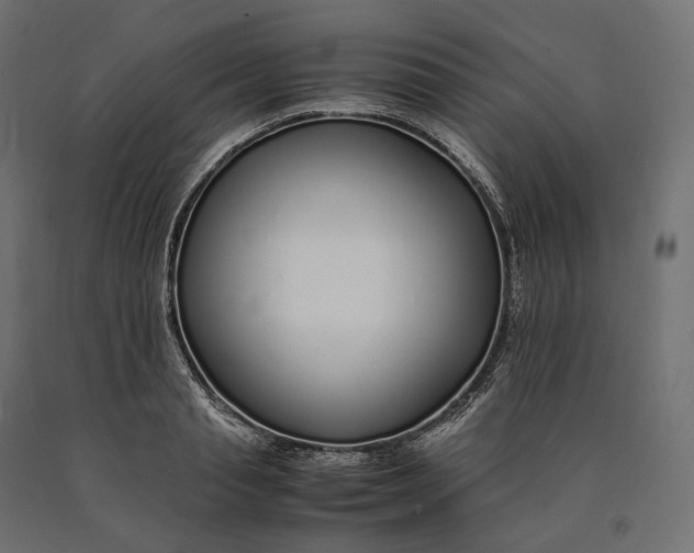 X0000090450845200708031216