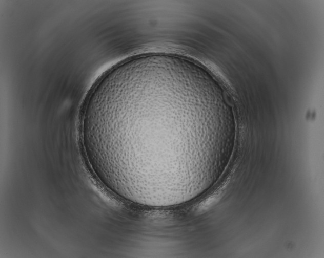 X0000090450846200708031216