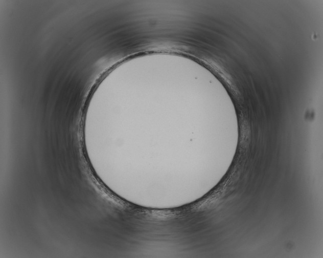 X0000090450848200708031216