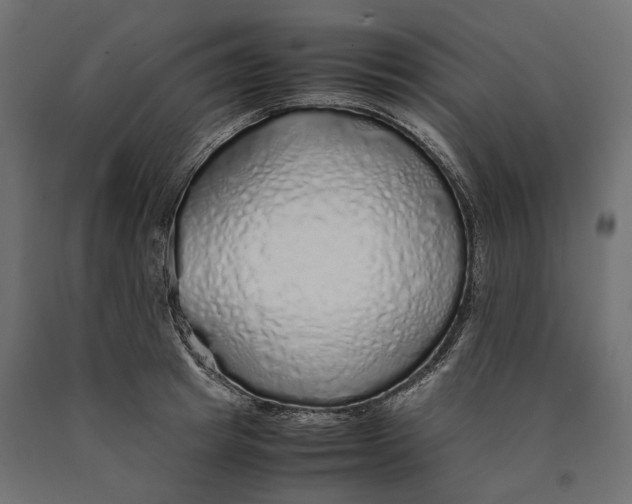 X0000090450849200708031216