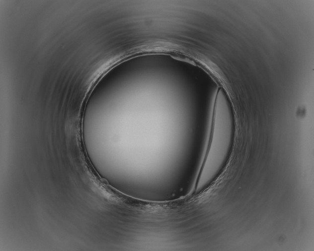 X0000090450850200708031216