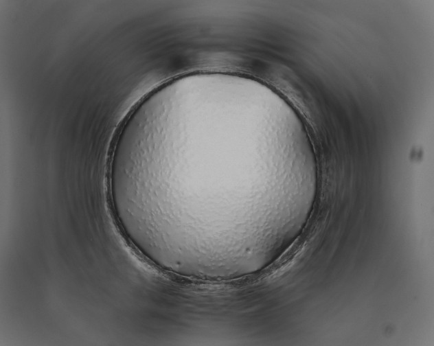 X0000090450853200708031216