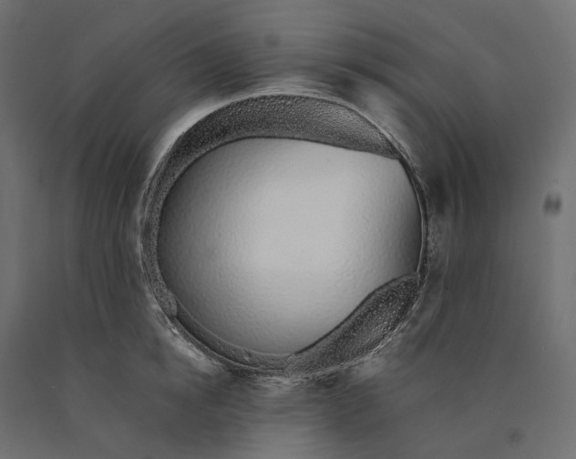 X0000090450854200708031216