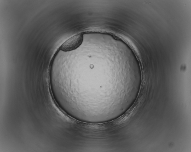 X0000090450855200708031216