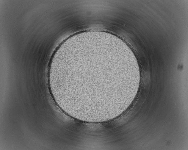 X0000090450856200708031216